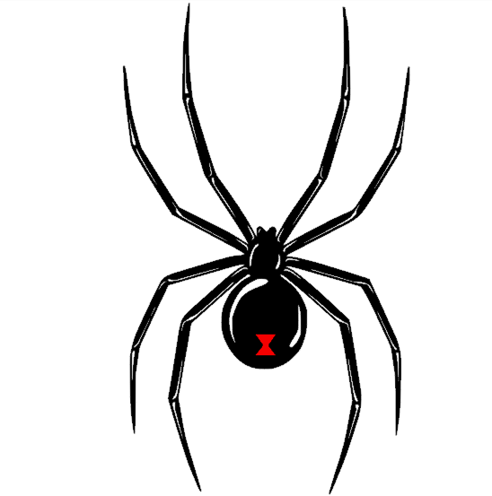 Black Widow Spider Vinyl Decal Sticker Self adhesive Custom Made for Jeep Hood